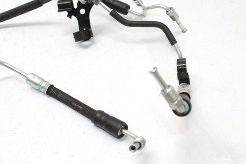 12-18 Kawasaki Versys 1000 Klz1000 Lt Front Brake Lines Oem