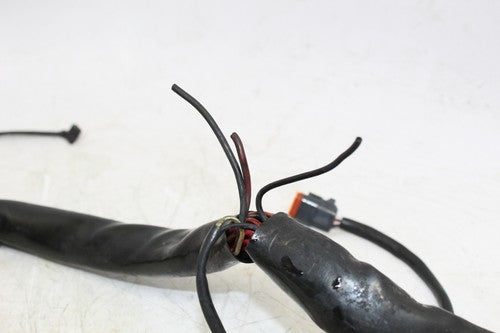 2001 Harley-davidson Electra Glide Classic Efi Flhtci Main Engine Wiring Harness