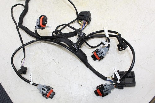 2015 Ducati 899 Panigale Main Engine Wiring Harness Motor Wire Loom