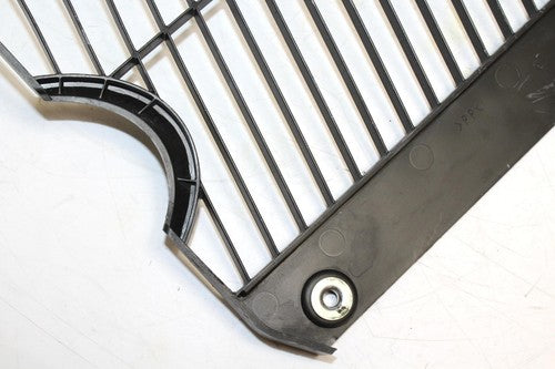 (06-10) 2007 YAMAHA FZ1 OIL COOLER GRILL GUARD OEM