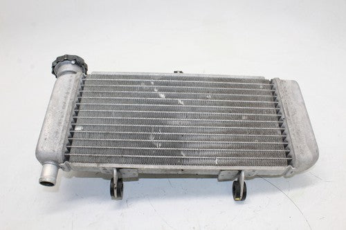 2011-2013 Honda Cbr250r Engine Radiator Motor Cooler Cooling Radiater OEM