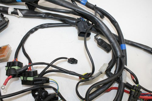2000 Cagiva Gran Canyon 900 Main Engine Wiring Harness Motor Wire Loom OEM