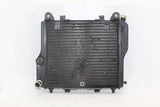86-06 Kawasaki Concours 1000 Zg1000a Engine Cooler Cooling Radiator Radiater OEM