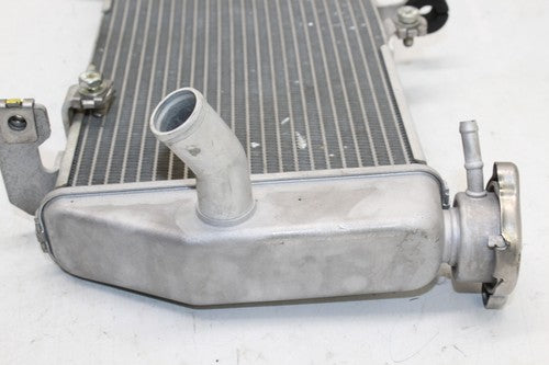 2015-2018 Yamaha Yzf R3 Engine Radiator MOTOR Cooler Cooling Radiater OEM