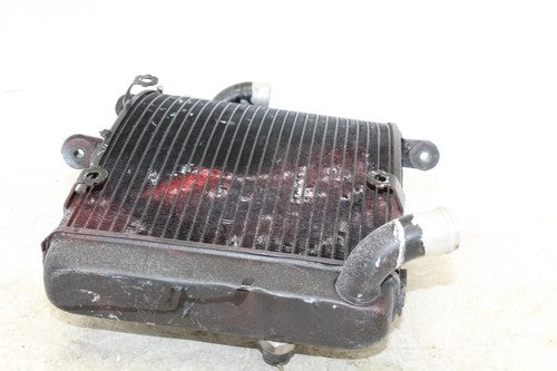 1996 Honda Cbr900rr Engine Radiator Motor Cooler Cooling Radiater