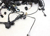 13-16 Triumph Daytona 675r Abs Main Engine Wiring Harness Motor Wire Loom OEM