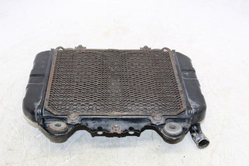 1989 Kawasaki Ninja 250r Ex250f Engine Radiator Motor Cooler Cooling Radiater