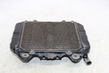 1989 Kawasaki Ninja 250r Ex250f Engine Radiator Motor Cooler Cooling Radiater