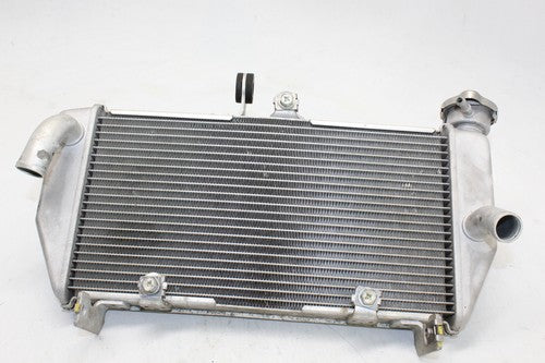 2015-2018 Yamaha Yzf R3 Engine Radiator MOTOR Cooler Cooling Radiater OEM