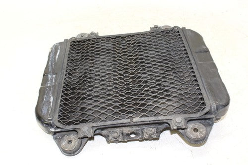 2004 Kawasaki Ninja 250r Ex250f Engine Radiator Motor Cooler Cooling Radiater