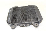 2004 Kawasaki Ninja 250r Ex250f Engine Radiator Motor Cooler Cooling Radiater