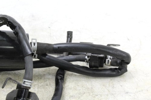 2000 Suzuki Katana 750 Gsx750f Evap Vapor  Charcoal Emission Canister