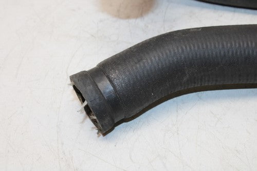 1993 Honda Cbr900rr Hose Set
