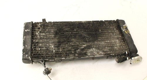 1995 Honda Cbr600f3 Engine Radiator Motor Cooler Cooling Radiater