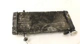 1995 Honda Cbr600f3 Engine Radiator Motor Cooler Cooling Radiater