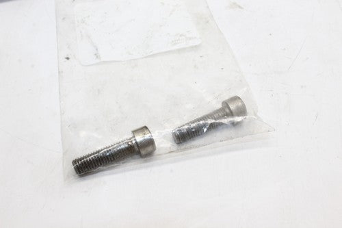 06-09 Aprilia Tuono 1000r Right Rear Back Passenger PEG OEM
