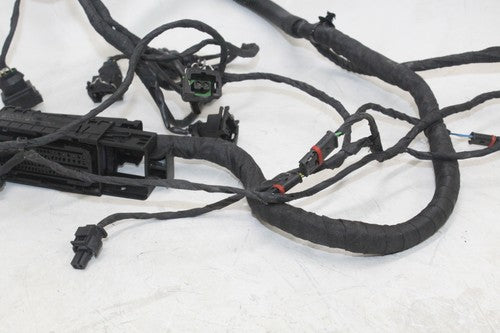 2008-18 Bmw F800gs Speedo Gauges Wiring Harness Wire Loom OEM