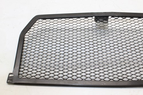 2015-2018 Bmw S1000r Oil Cooler Grill Guard OEM