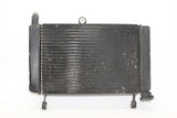 2002 Yamaha Yzf600r Engine Radiator Motor Cooler Cooling Radiater
