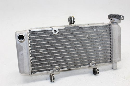 2011-2013 Honda Cbr250r Engine Radiator Motor Cooler Cooling Radiater OEM