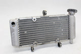2011-2013 Honda Cbr250r Engine Radiator Motor Cooler Cooling Radiater OEM