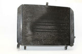 2003-2005 Yamaha Fjr1300 Engine Radiator MOTOR Cooler Cooling Radiater OEM