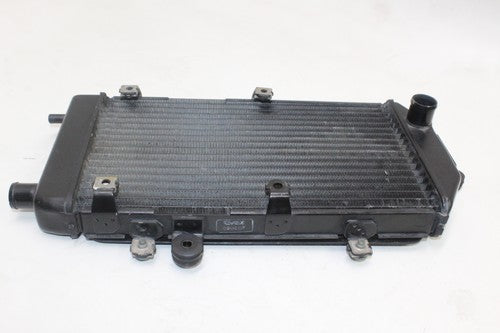 2006 Kawasaki Vulcan 900 Vn900b Classic Engine Cooler Cooling Radiator OEM