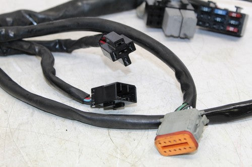 2001 Harley-davidson Electra Glide Classic Efi Flhtci Main Engine Wiring Harness