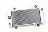 08-11 Kawasaki Ninja 250r Ex250j Engine Radiator Motor Cooler Cooling Radiater