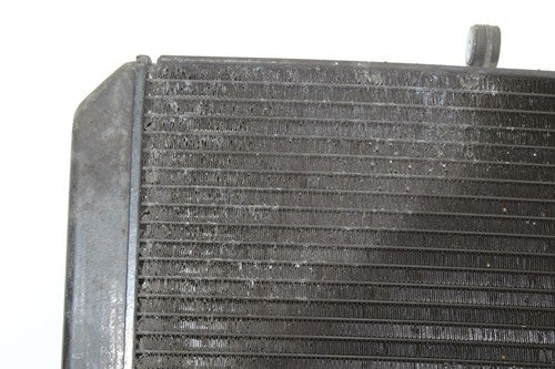 2003-2005 Yamaha Fjr1300 Engine Radiator MOTOR Cooler Cooling Radiater OEM