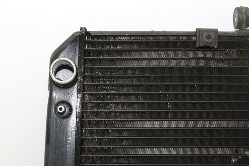 2003-2005 Yamaha Fjr1300 Engine Radiator MOTOR Cooler Cooling Radiater OEM
