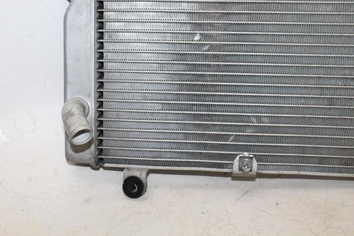 2007 Honda Silver Wing 600 Fsc600 Engine Radiator Motor Cooler Cooling Radiater