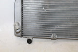 2007 Honda Silver Wing 600 Fsc600 Engine Radiator Motor Cooler Cooling Radiater