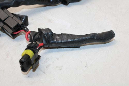 2010 Yamaha Fz6r Main Engine Wiring Harness Motor Wire Loom
