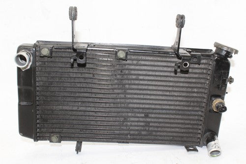 2005 Suzuki Vstrom 1000 Dl1000 Engine Radiator Motor Cooler Cooling Radiater OEM