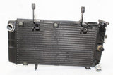 2005 Suzuki Vstrom 1000 Dl1000 Engine Radiator Motor Cooler Cooling Radiater OEM