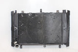 01-05 YAMAHA FZ1 Fazer FZS1000 OEM ENGINE RADIATOR MOTOR COOLER COOLING RADIATER