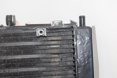 04-06 YAMAHA FZ6 OEM ENGINE RADIATOR MOTOR COOLER COOLING RADIATER