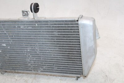 15-25 YAMAHA YZF R3 OEM ENGINE RADIATOR MOTOR COOLER COOLING RADIATER