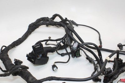 2010 BMW S1000RR OEM MAIN ENGINE WIRING HARNESS MOTOR WIRE LOOM