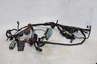 2007 HARLEY-DAVIDSON SPORTSTER 883 OEM MAIN ENGINE WIRING HARNESS WIRE LOOM