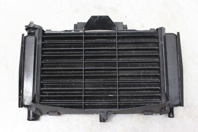 04-06 YAMAHA FZ6 OEM ENGINE RADIATOR MOTOR COOLER COOLING RADIATER