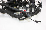 2016 BMW S1000XR OEM MAIN ENGINE WIRING HARNESS MOTOR WIRE LOOM