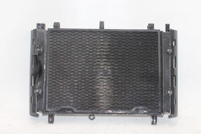 01-05 YAMAHA FZ1 Fazer FZS1000 OEM ENGINE RADIATOR MOTOR COOLER COOLING RADIATER