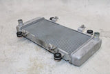 13-17 KAWASAKI NINJA 300 OEM ENGINE RADIATOR MOTOR COOLER COOLING RADIATER