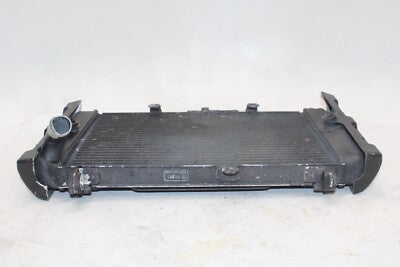 01-05 YAMAHA FZ1 Fazer FZS1000 OEM ENGINE RADIATOR MOTOR COOLER COOLING RADIATER