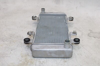 13-17 KAWASAKI NINJA 300 OEM ENGINE RADIATOR MOTOR COOLER COOLING RADIATER