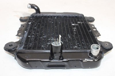 2000 KAWASAKI NINJA 250R EX250F OEM ENGINE RADIATOR MOTOR COOLER COOLING
