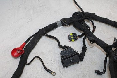 2018 BMW G310GS OEM MAIN ENGINE WIRING HARNESS MOTOR WIRE LOOM