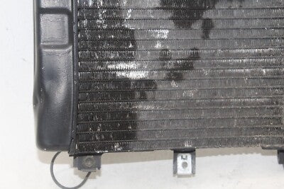 2001 SUZUKI HAYABUSA GSX1300R OEM ENGINE RADIATOR MOTOR COOLER COOLING RADIATER